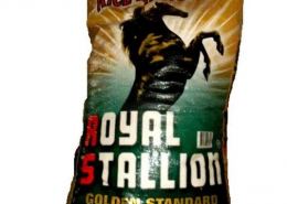 royal-stallion_gidifoodmart